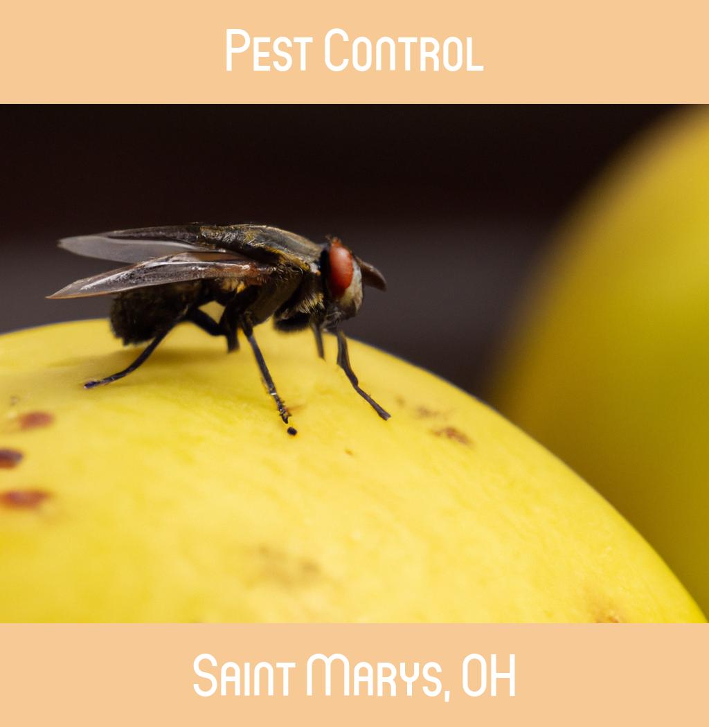 pest control in Saint Marys Ohio