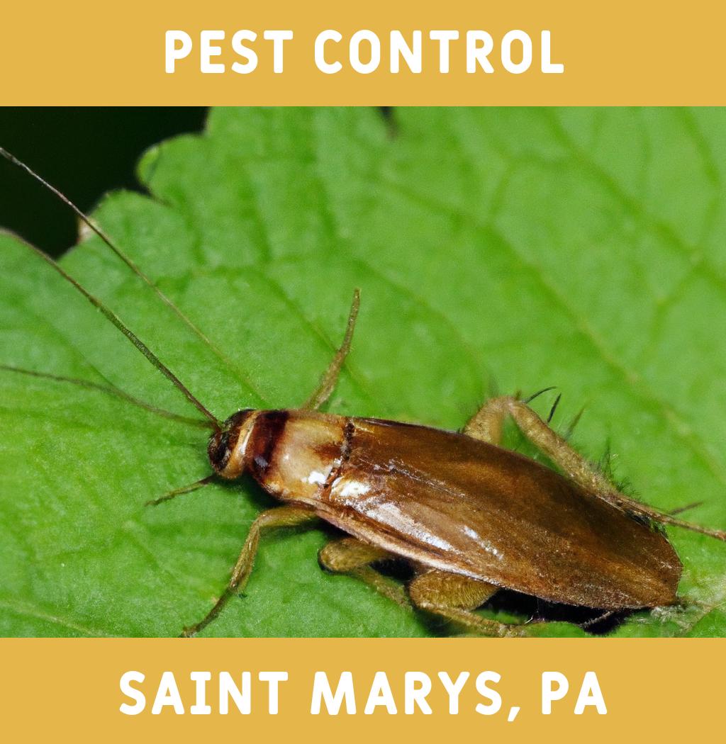 pest control in Saint Marys Pennsylvania