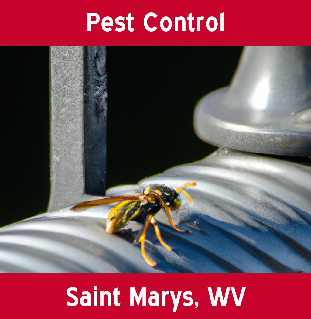 pest control in Saint Marys West Virginia