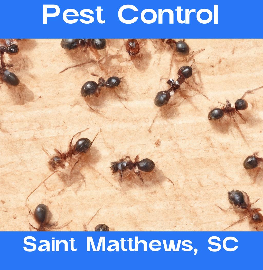 pest control in Saint Matthews South Carolina