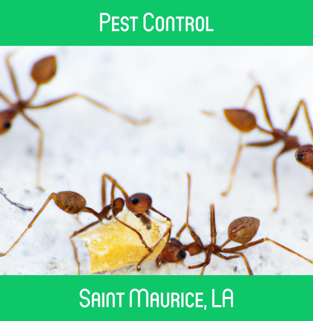 pest control in Saint Maurice Louisiana