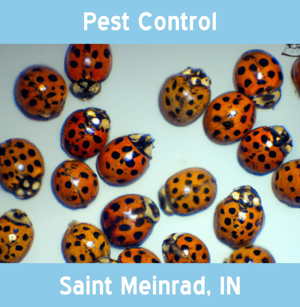 pest control in Saint Meinrad Indiana