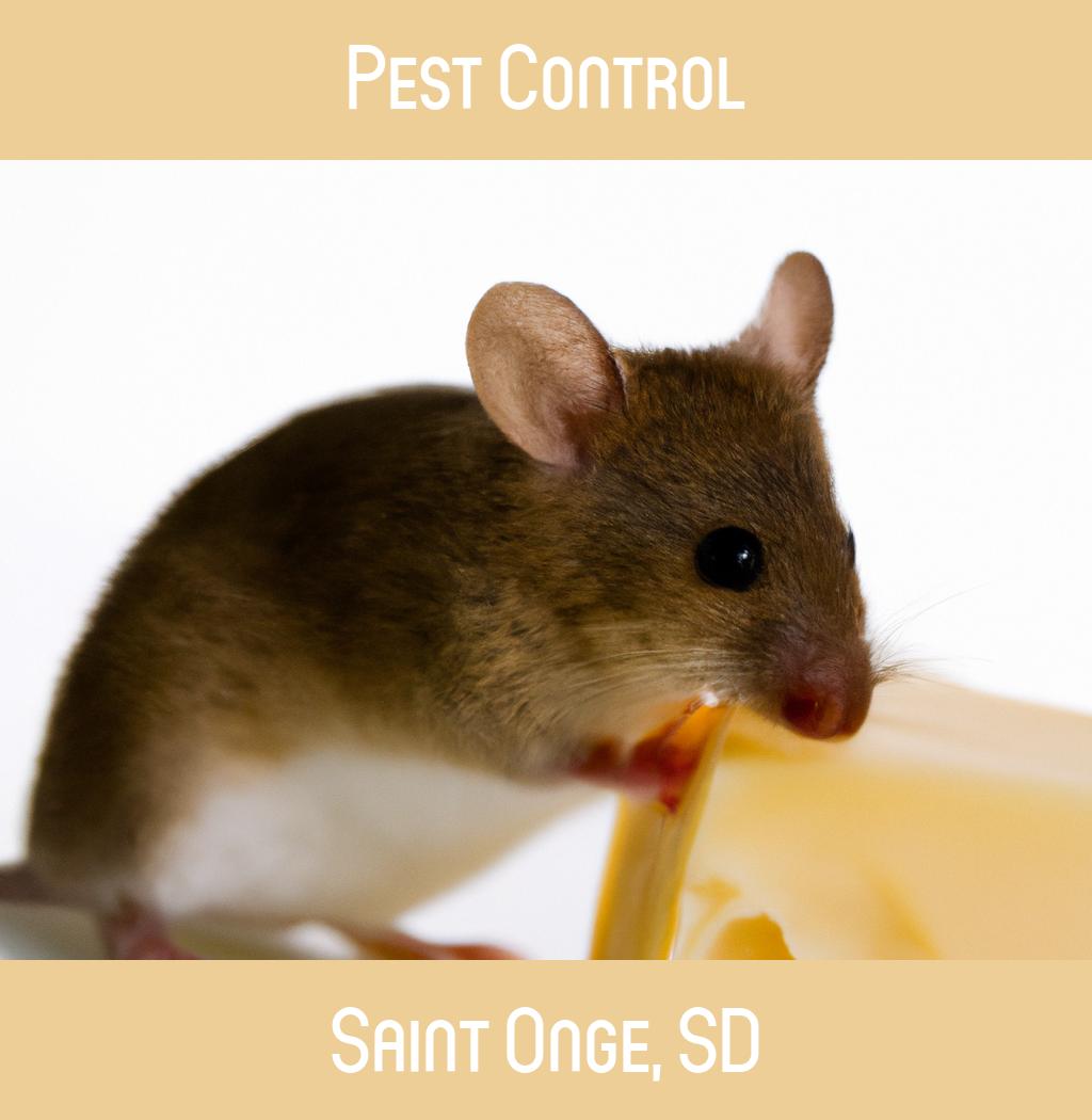 pest control in Saint Onge South Dakota