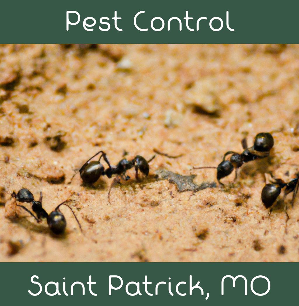 pest control in Saint Patrick Missouri