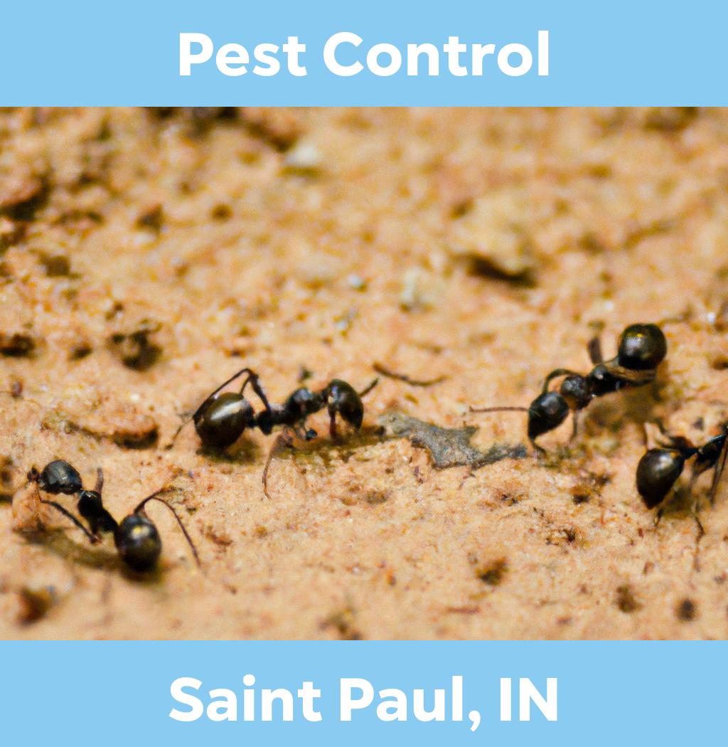 pest control in Saint Paul Indiana