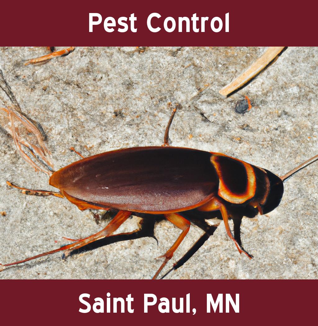 pest control in Saint Paul Minnesota