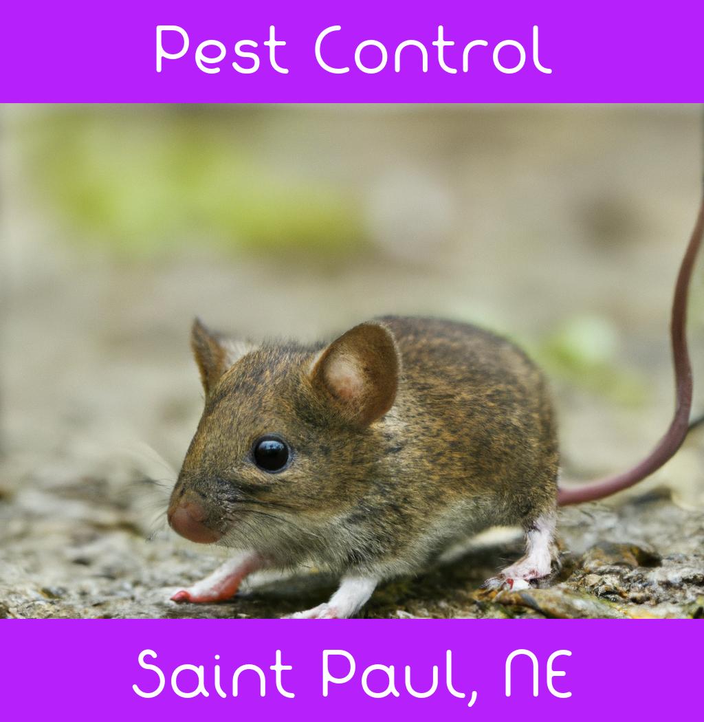 pest control in Saint Paul Nebraska