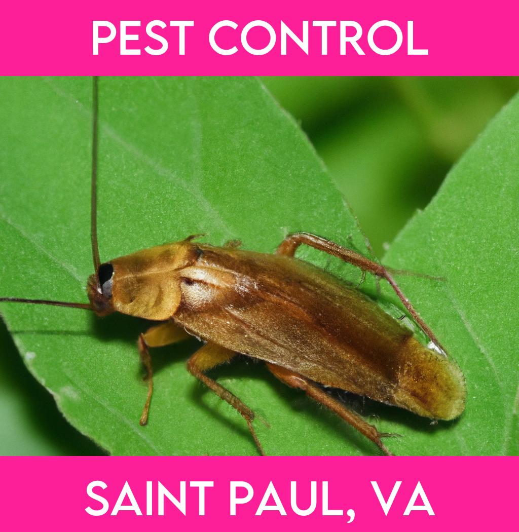 pest control in Saint Paul Virginia