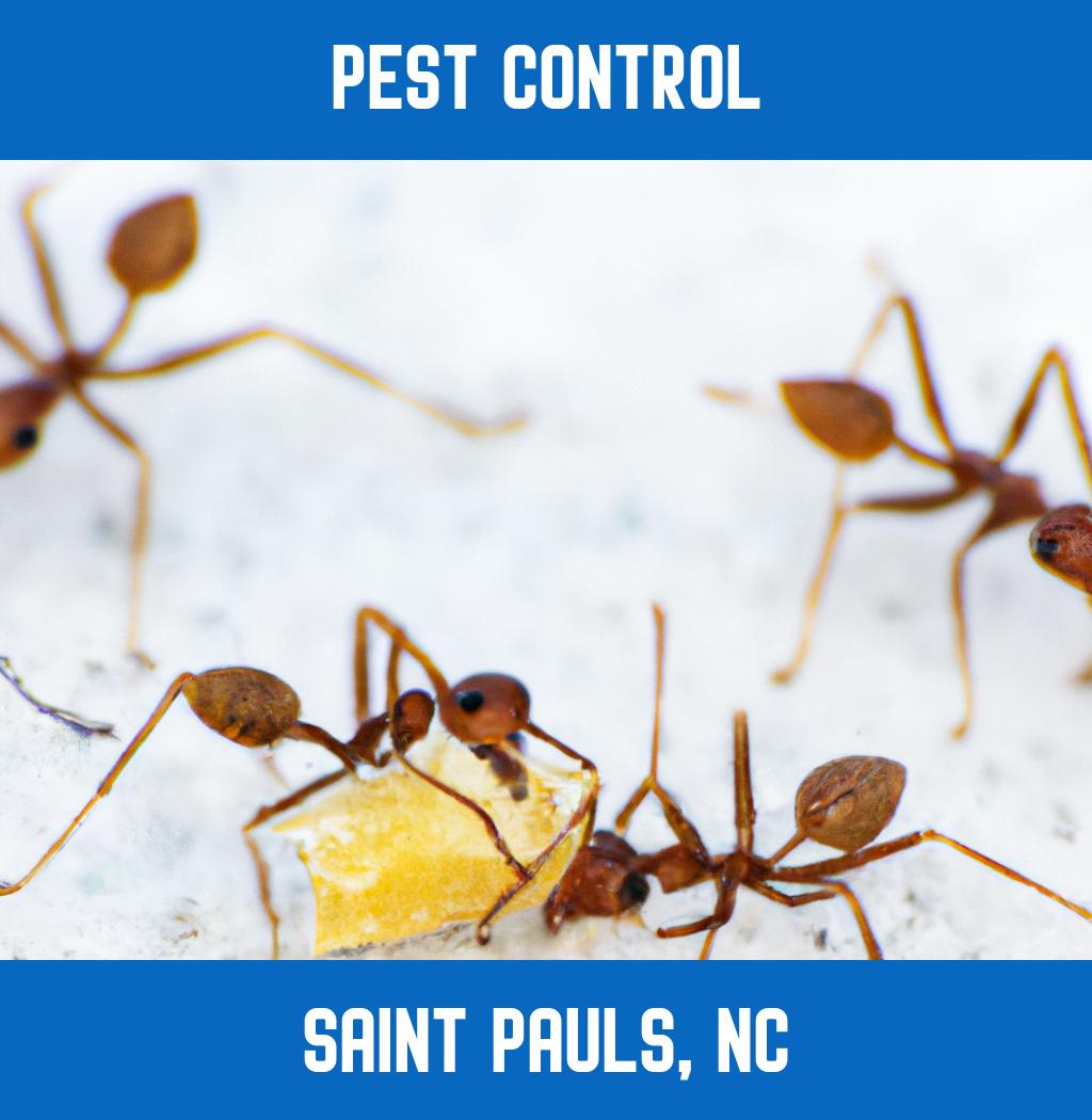 pest control in Saint Pauls North Carolina