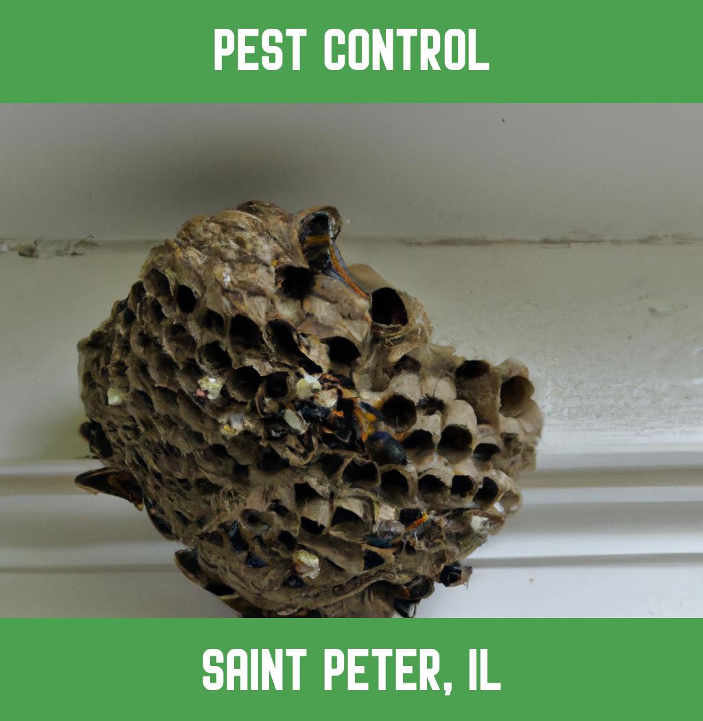 pest control in Saint Peter Illinois