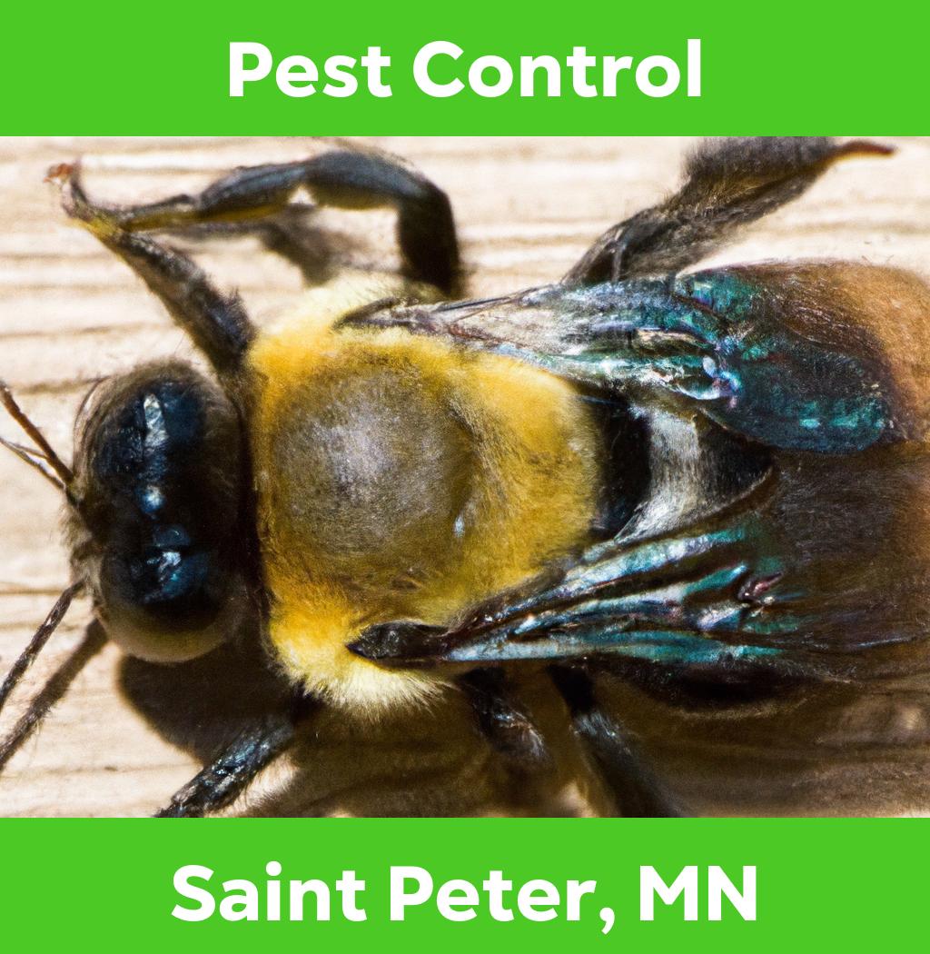 pest control in Saint Peter Minnesota