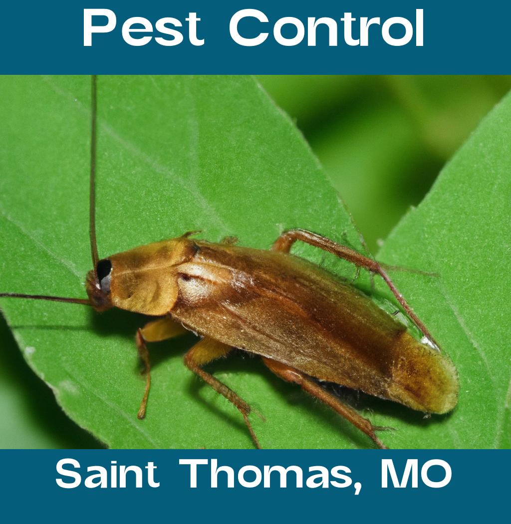 pest control in Saint Thomas Missouri