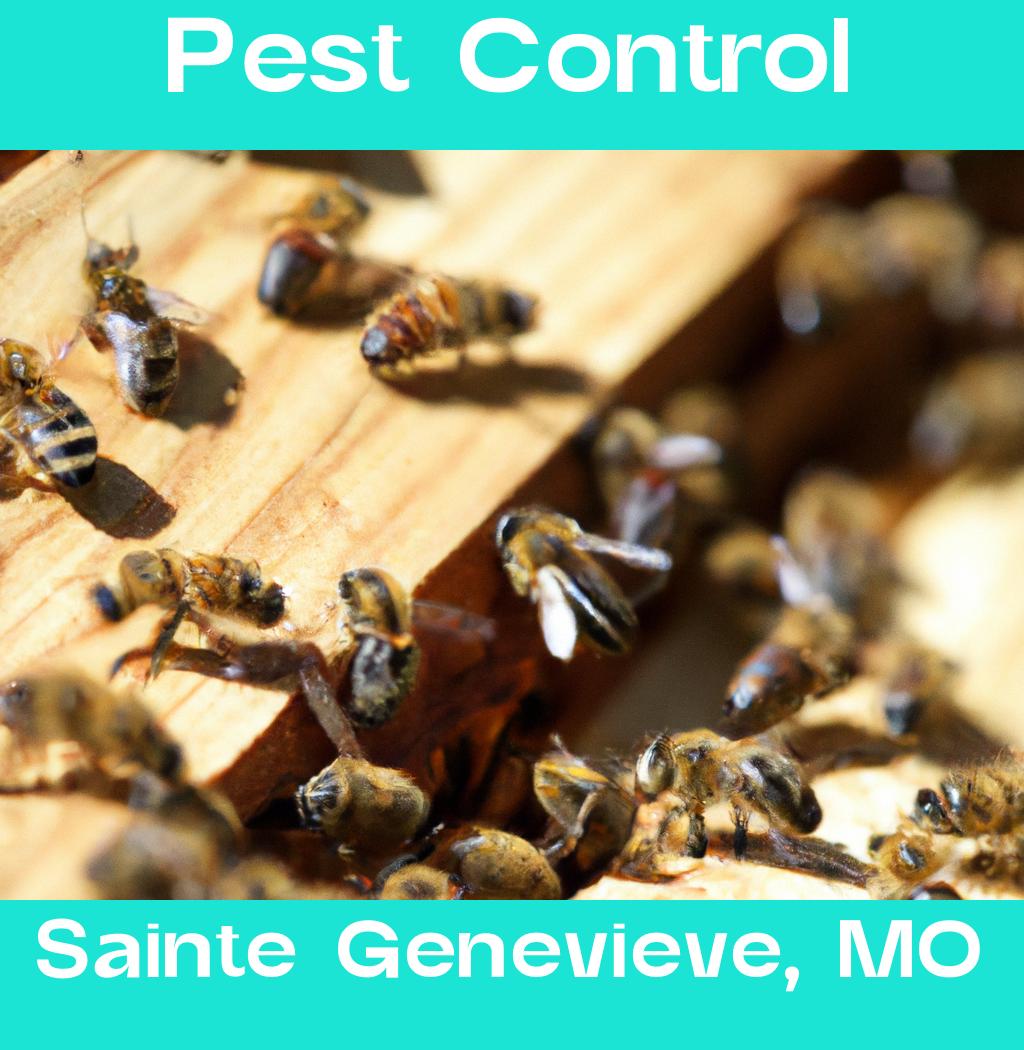 pest control in Sainte Genevieve Missouri