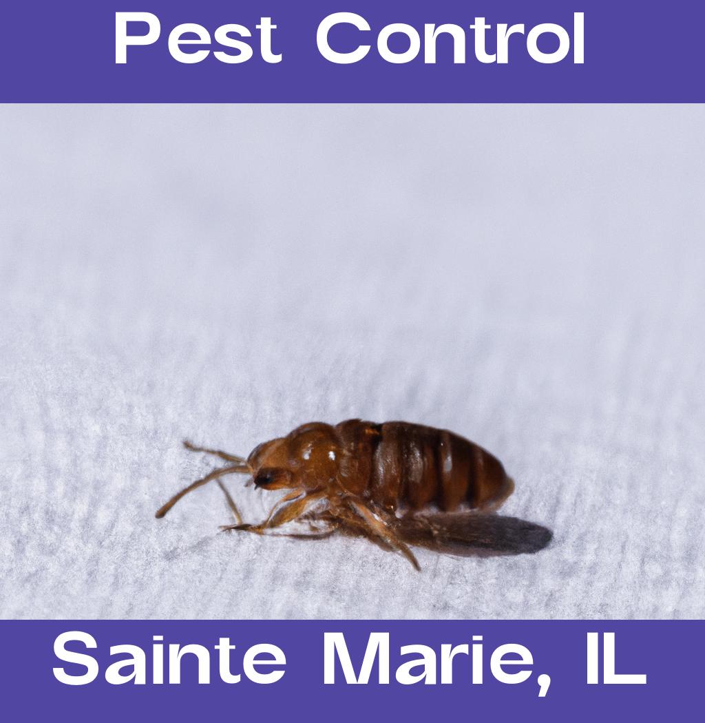 pest control in Sainte Marie Illinois