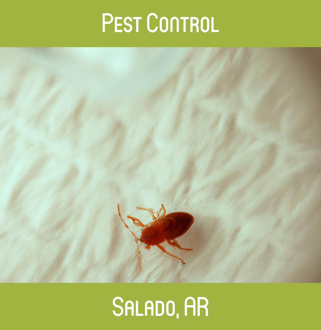 pest control in Salado Arkansas