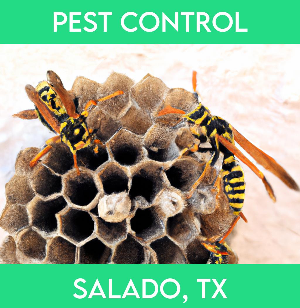 pest control in Salado Texas
