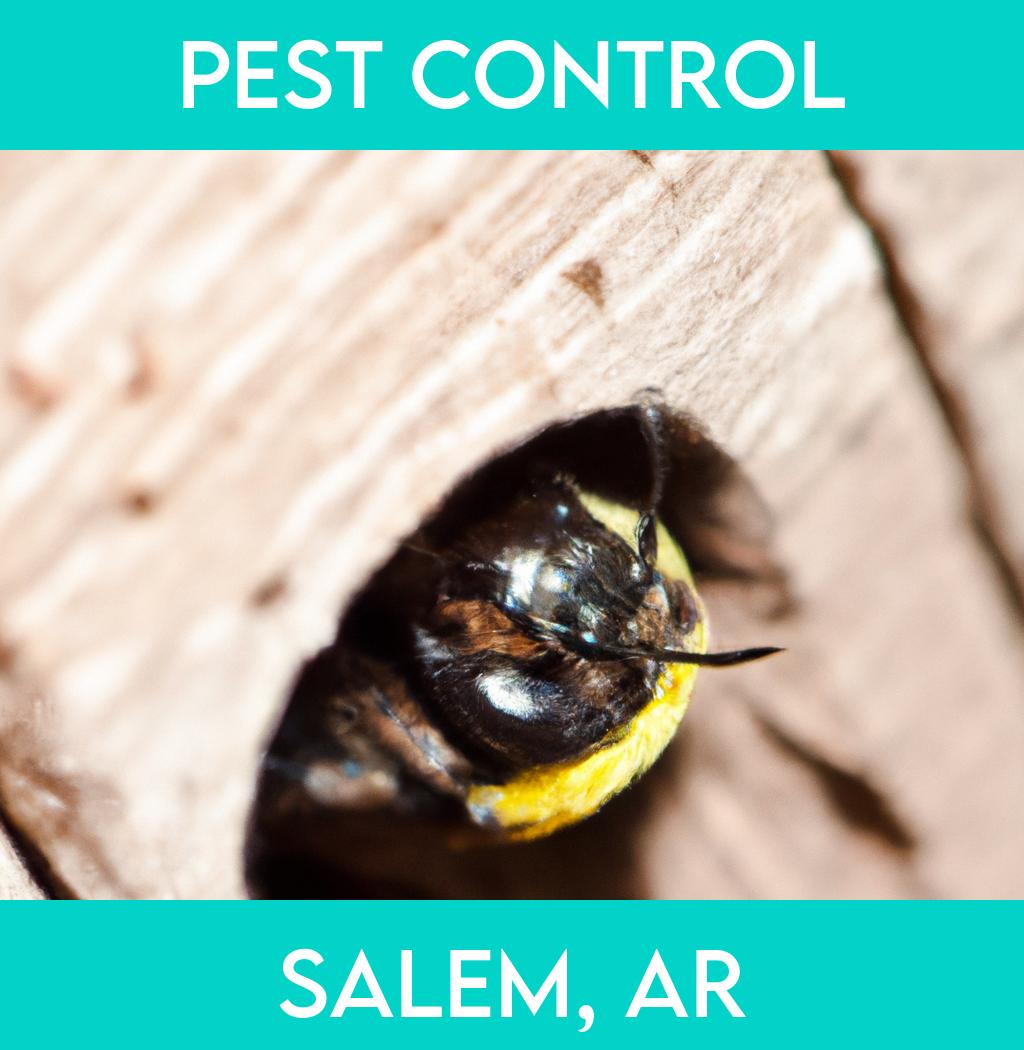 pest control in Salem Arkansas