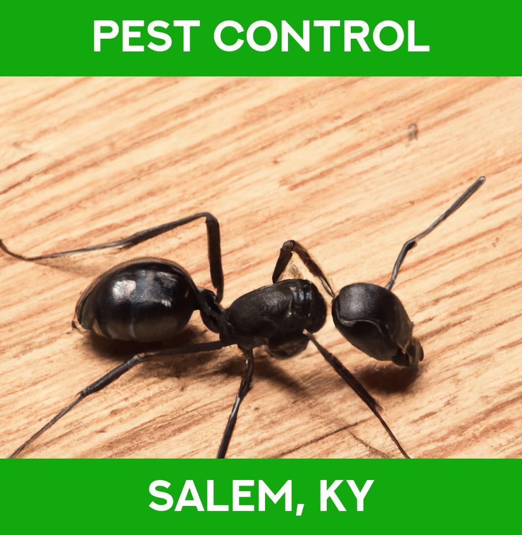pest control in Salem Kentucky