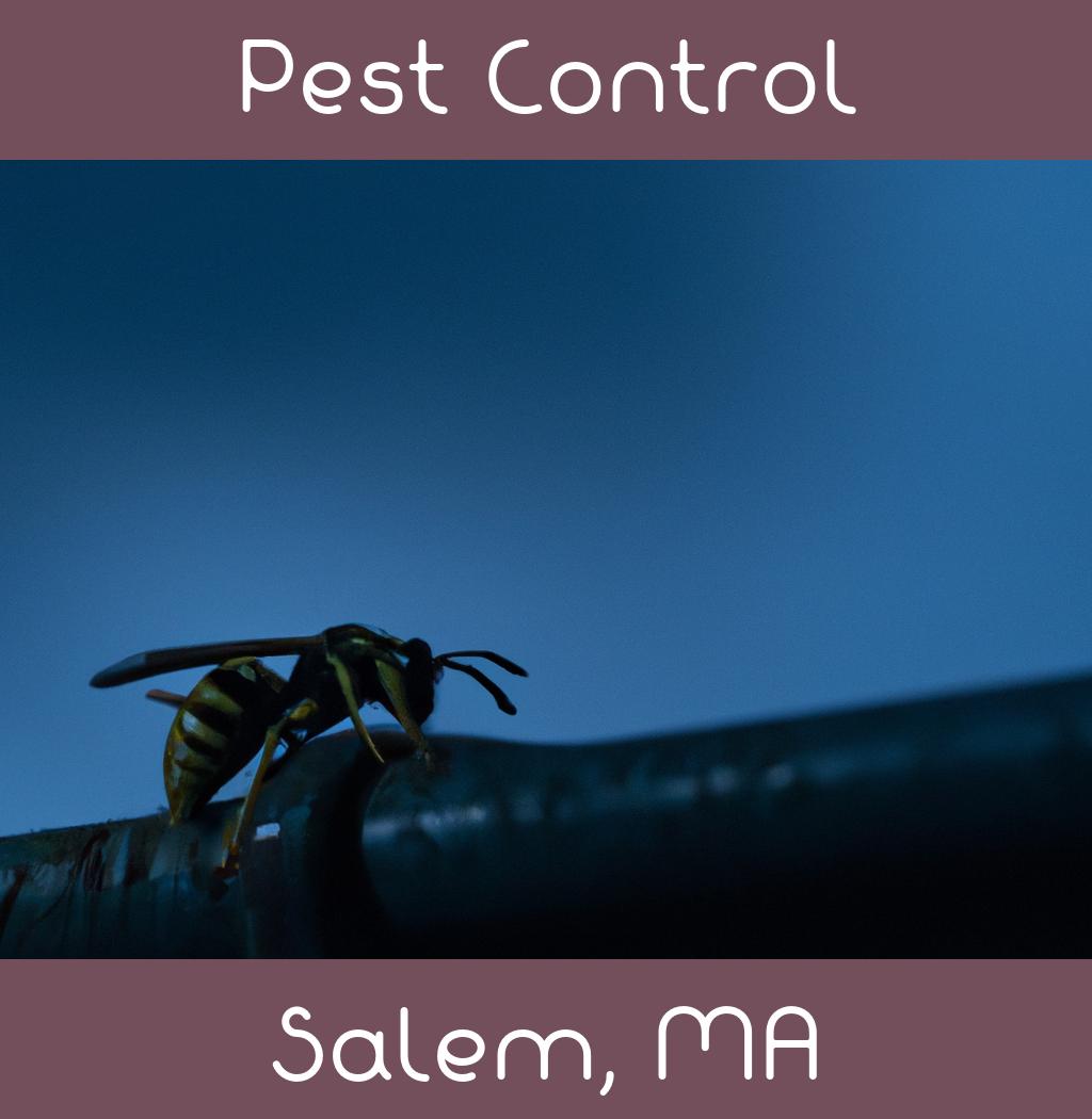 pest control in Salem Massachusetts