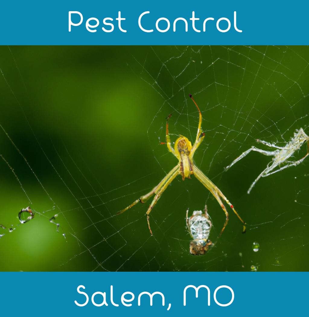 pest control in Salem Missouri