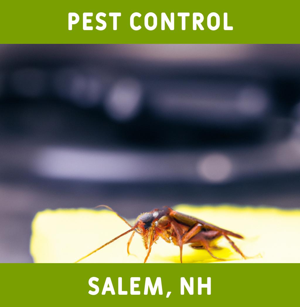 pest control in Salem New Hampshire