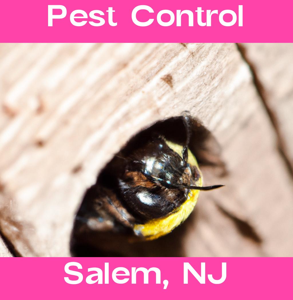 pest control in Salem New Jersey