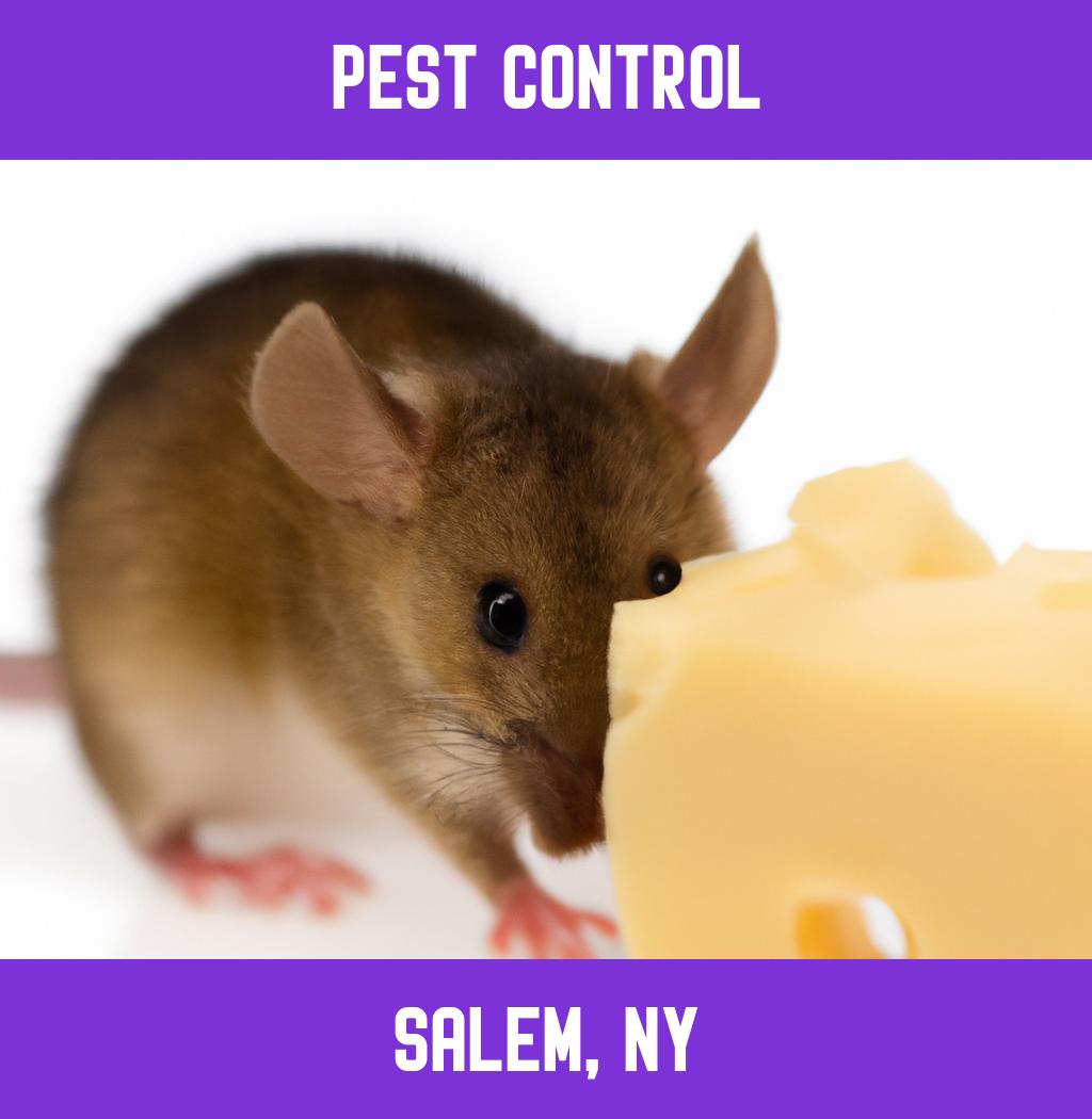 pest control in Salem New York