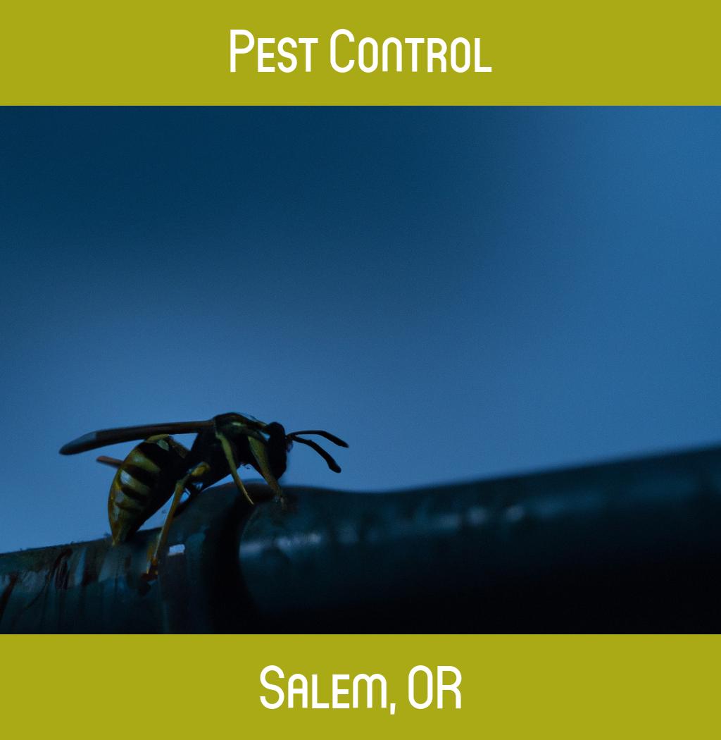 pest control in Salem Oregon