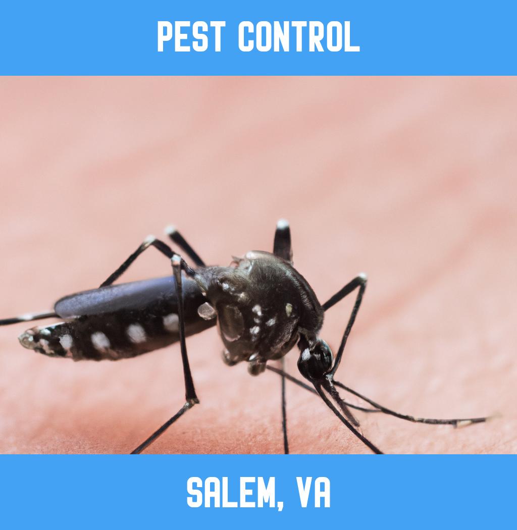 pest control in Salem Virginia