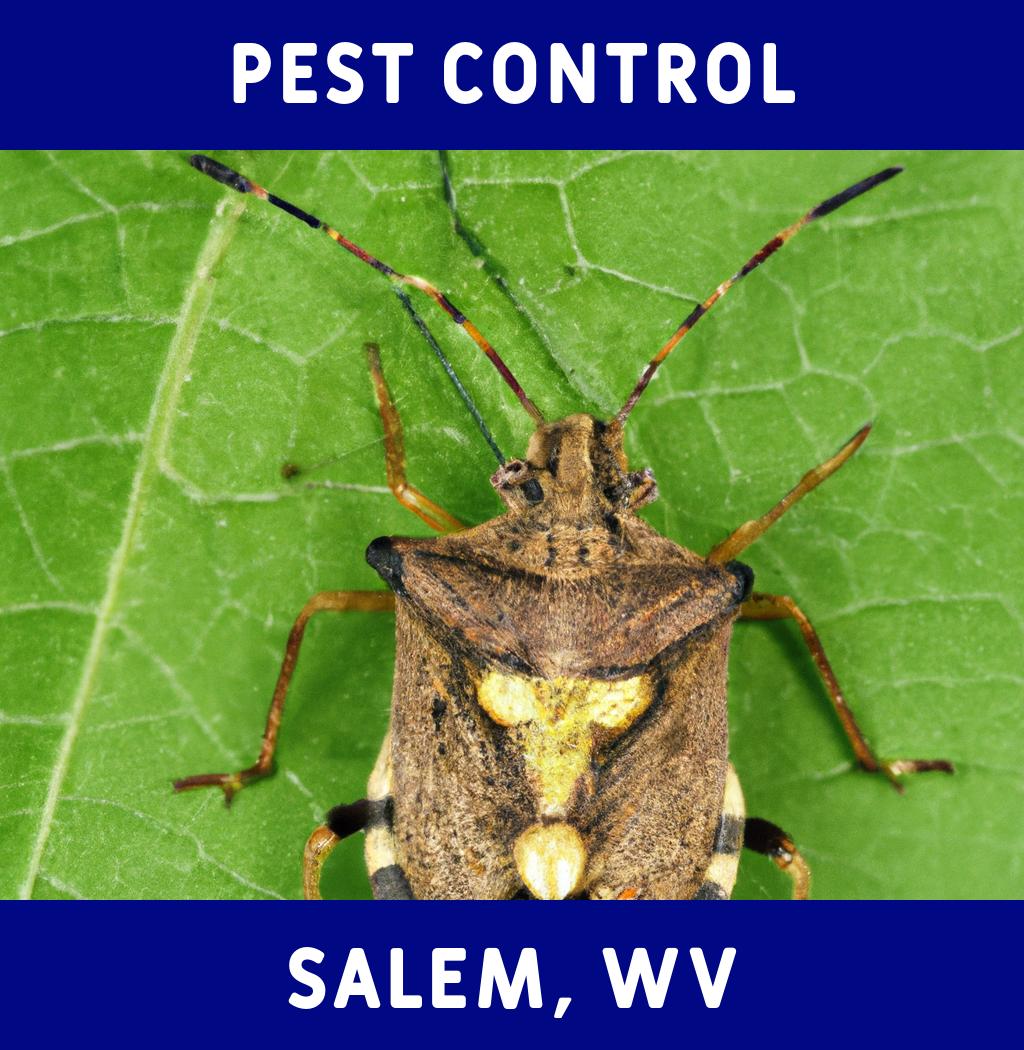 pest control in Salem West Virginia