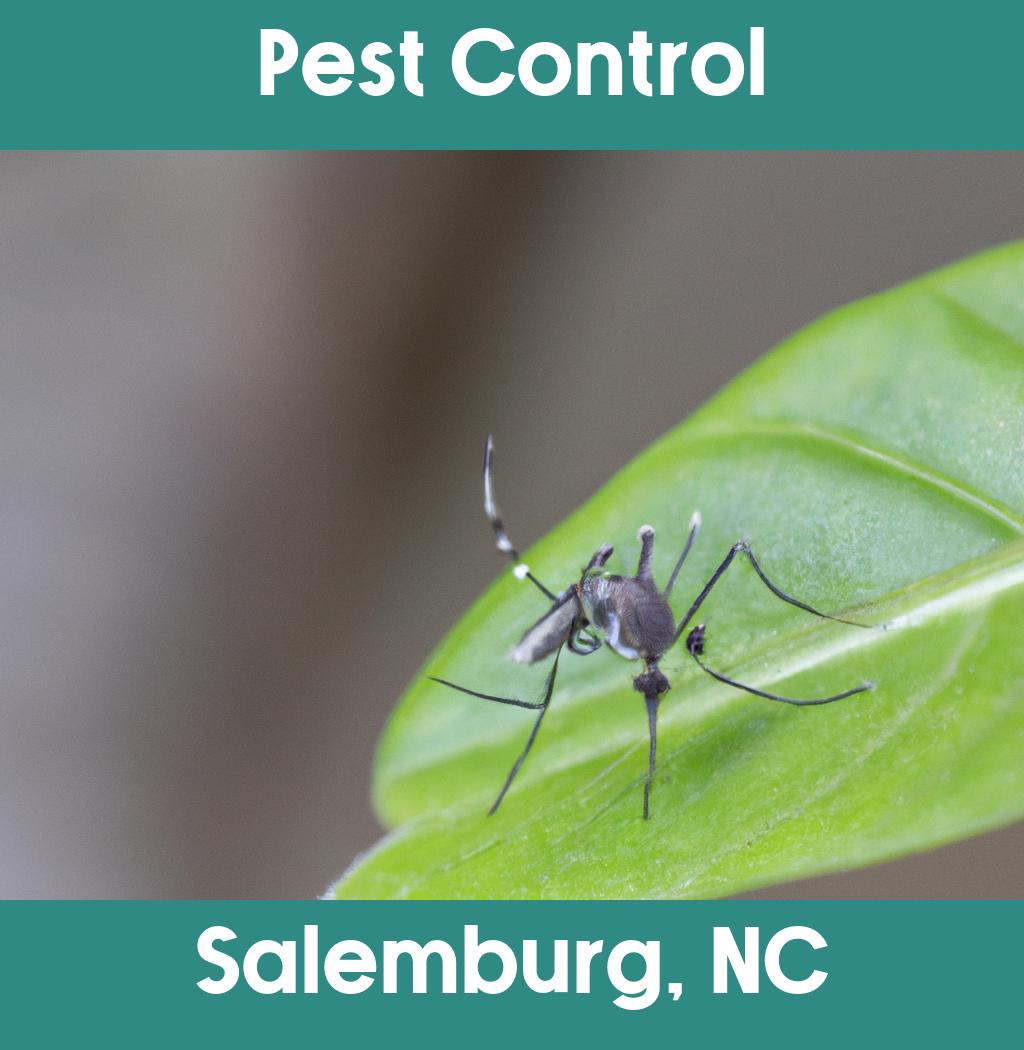 pest control in Salemburg North Carolina