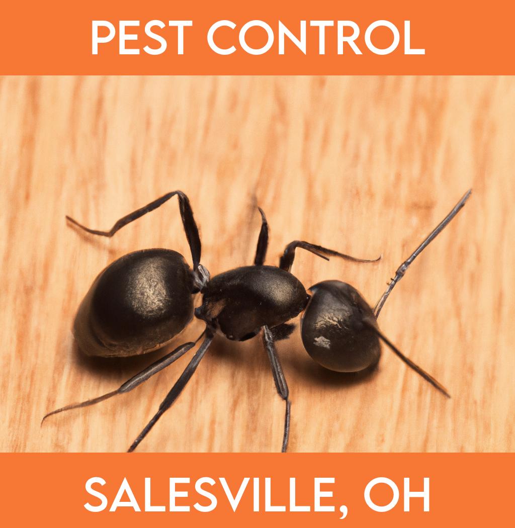 pest control in Salesville Ohio