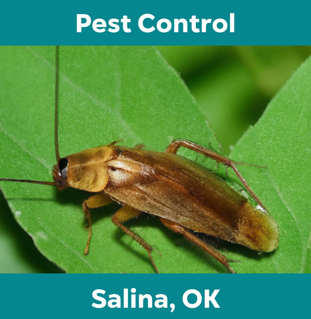 pest control in Salina Oklahoma