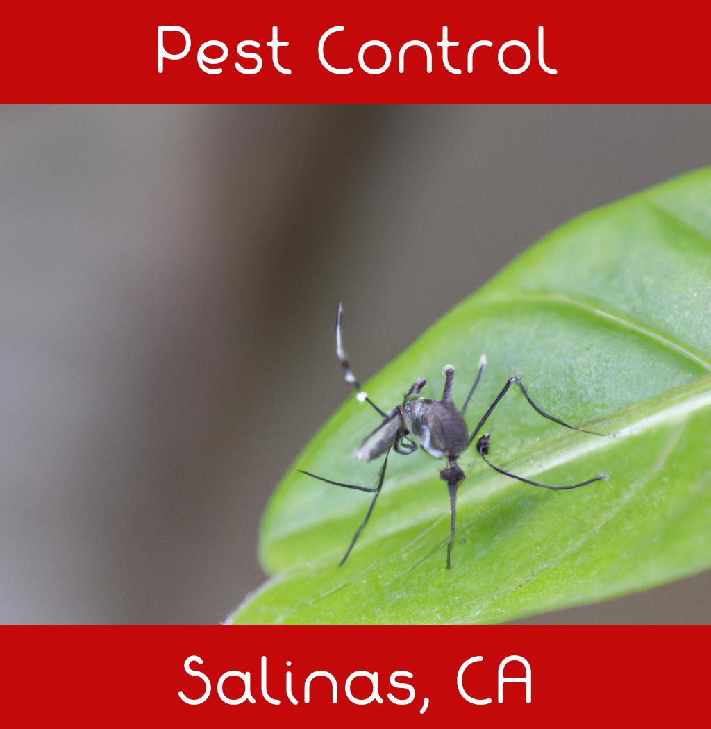 pest control in Salinas California