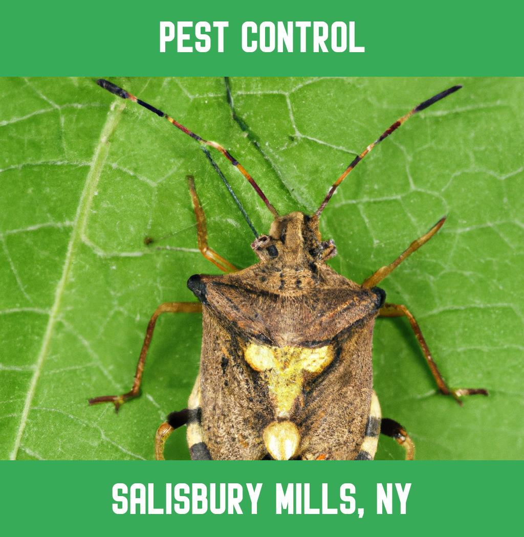 pest control in Salisbury Mills New York