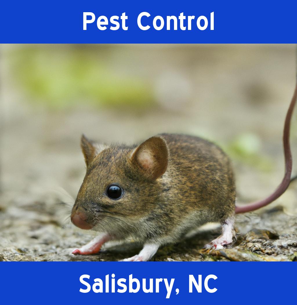 pest control in Salisbury North Carolina