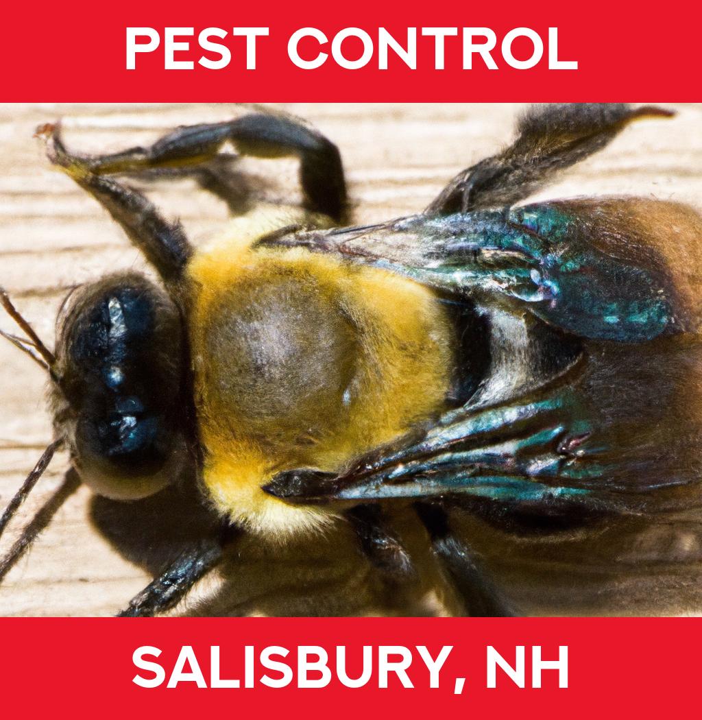 pest control in Salisbury New Hampshire