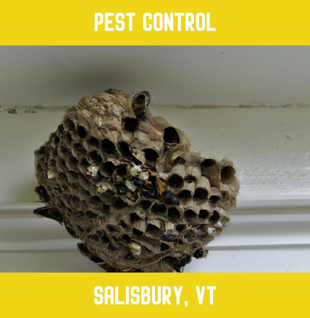 pest control in Salisbury Vermont