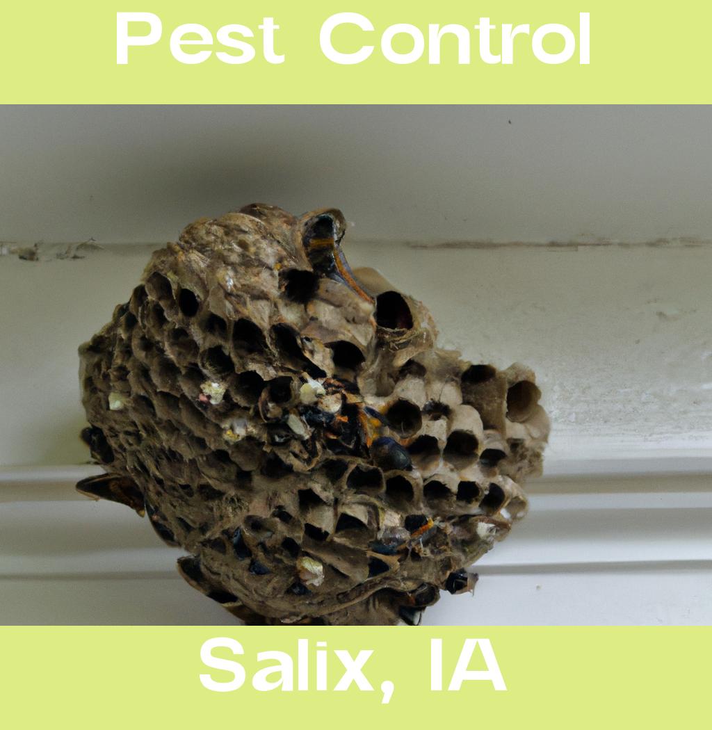 pest control in Salix Iowa
