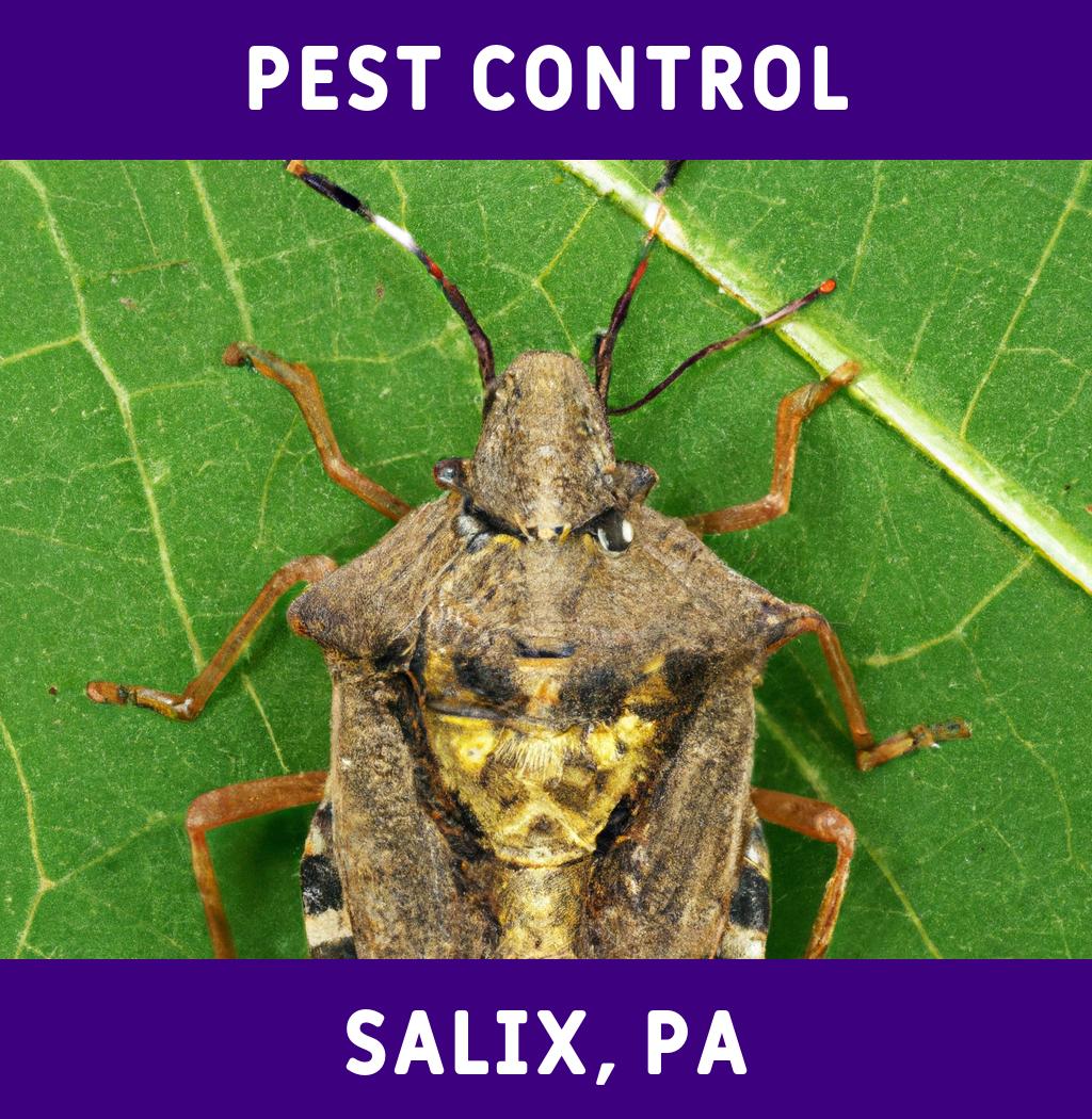 pest control in Salix Pennsylvania