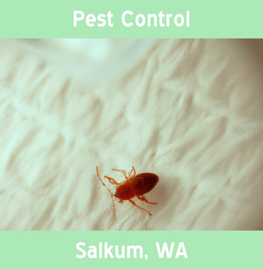 pest control in Salkum Washington