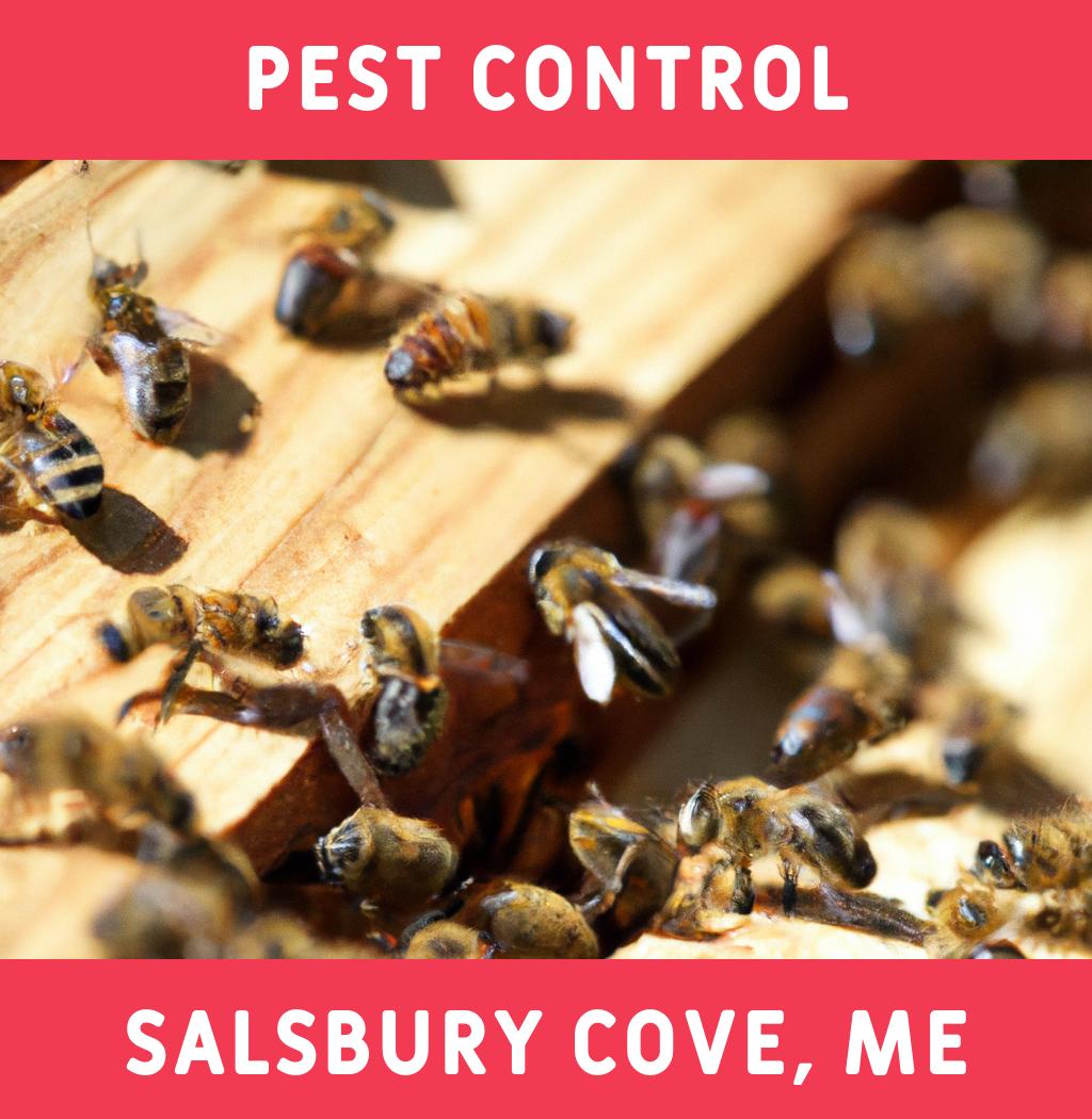 pest control in Salsbury Cove Maine