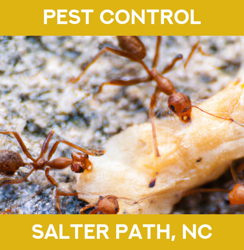 pest control in Salter Path North Carolina