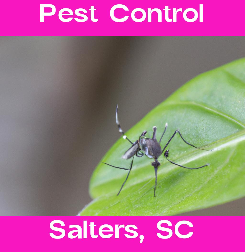 pest control in Salters South Carolina