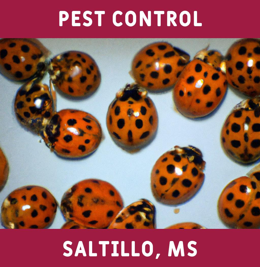 pest control in Saltillo Mississippi