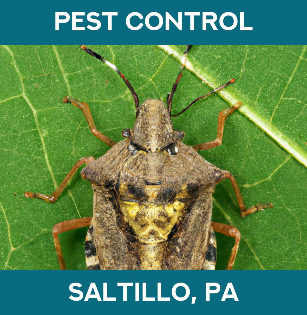 pest control in Saltillo Pennsylvania