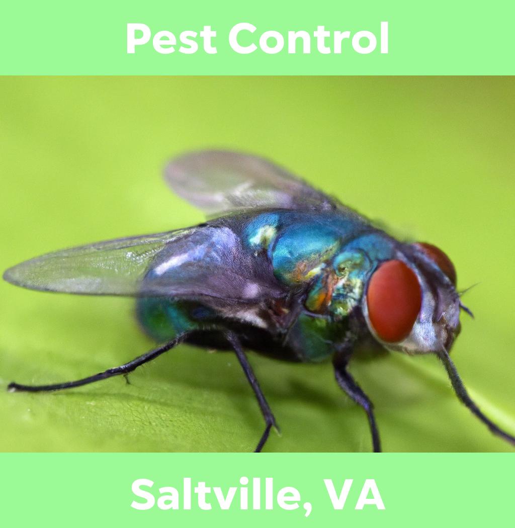 pest control in Saltville Virginia