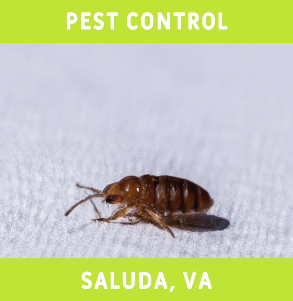 pest control in Saluda Virginia