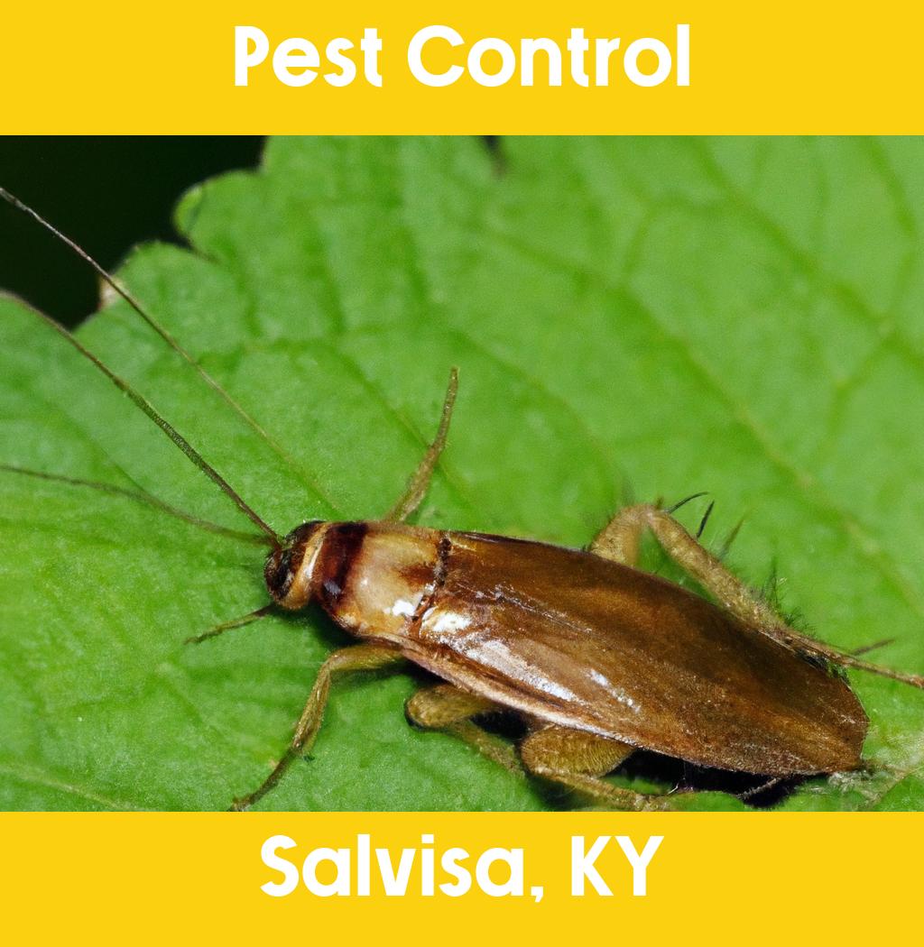 pest control in Salvisa Kentucky