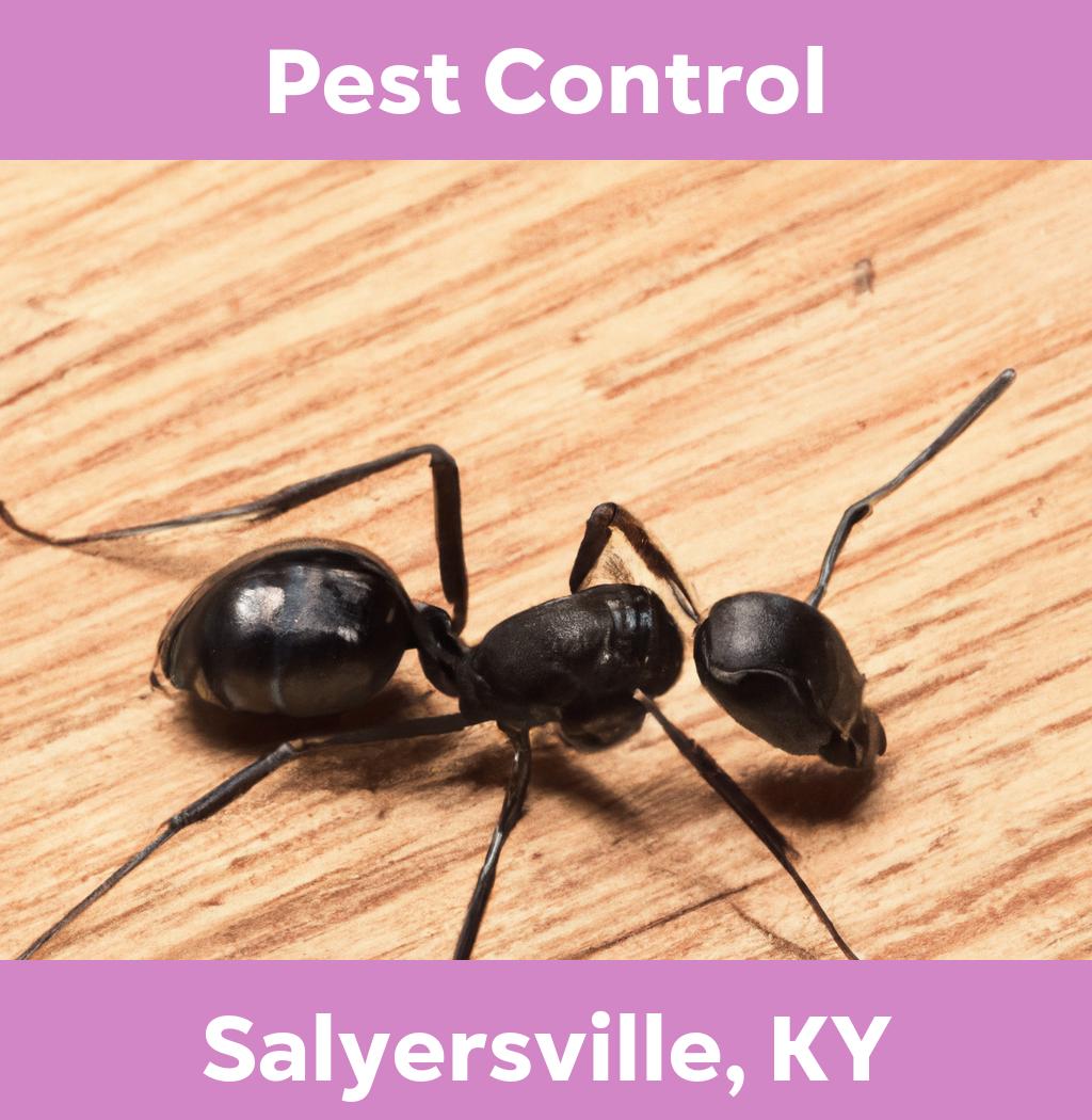 pest control in Salyersville Kentucky